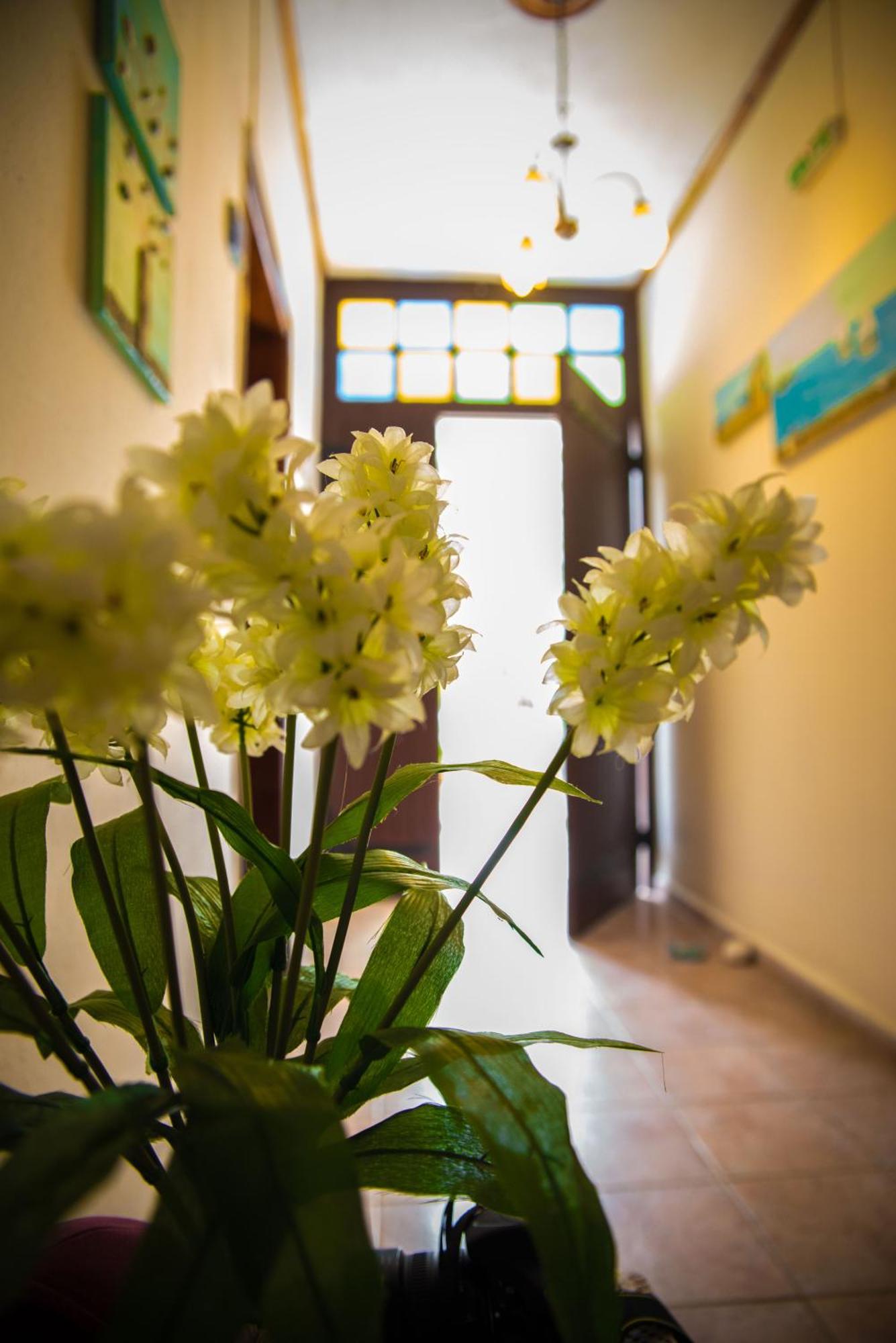 Olga Studios Afissos Pokój zdjęcie